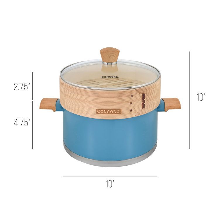 Concord Cookware Stainless Steel Steamer Pot Wayfair Canada